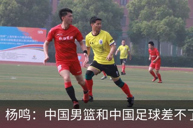 杨鸣：中国男篮和中国足球差不了太多，没有气场，失去了绝对优势